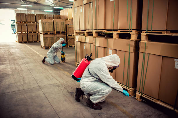 Best Wildlife Control Services  in Louisville, OH