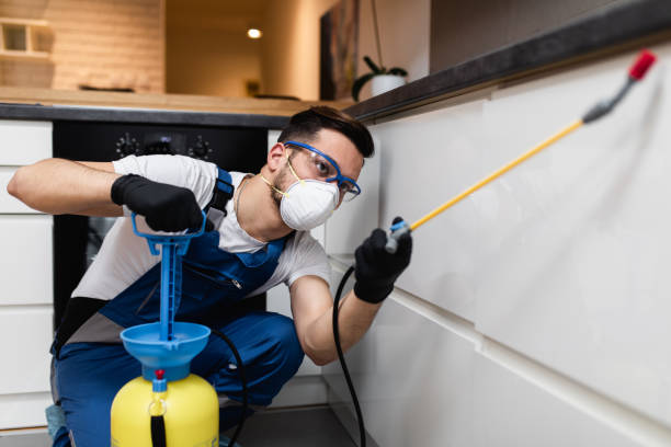 Best Mosquito Control Services  in Louisville, OH
