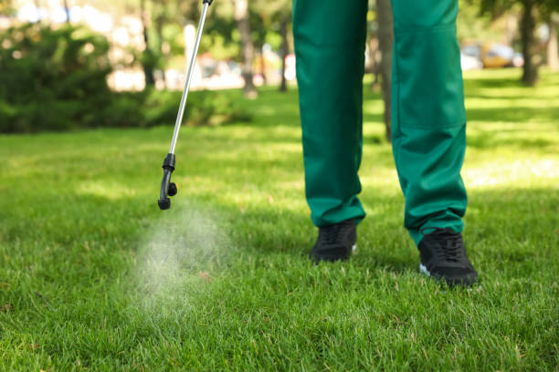 Best Emergency Pest Control  in Louisville, OH