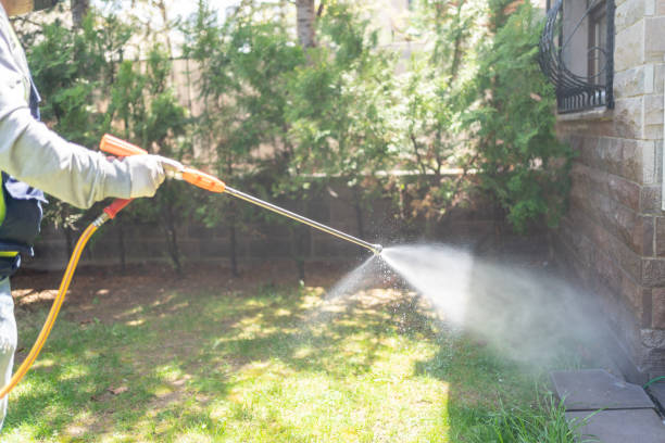 Best Exterminator Services  in Louisville, OH