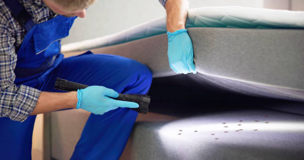 Best Pest Prevention Services  in Louisville, OH