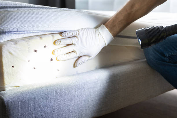 Best Commercial Pest Control Services  in Louisville, OH