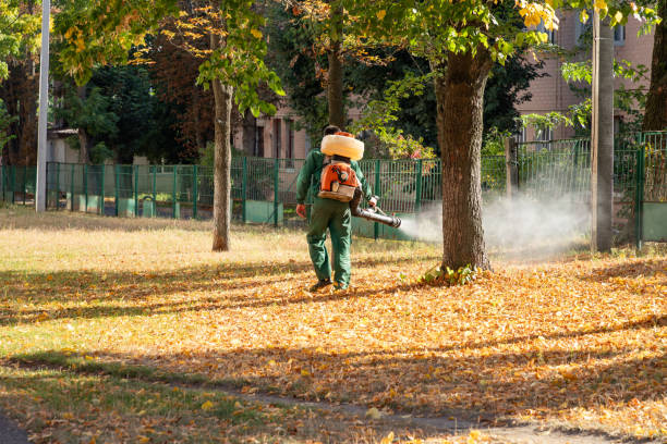 Best Best Pest Control Companies  in Louisville, OH