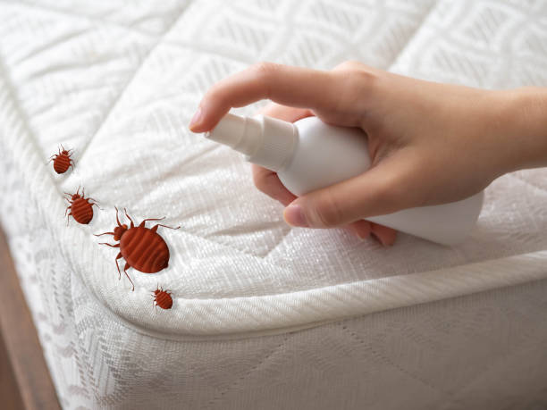 Best Cockroach Control Services  in Louisville, OH