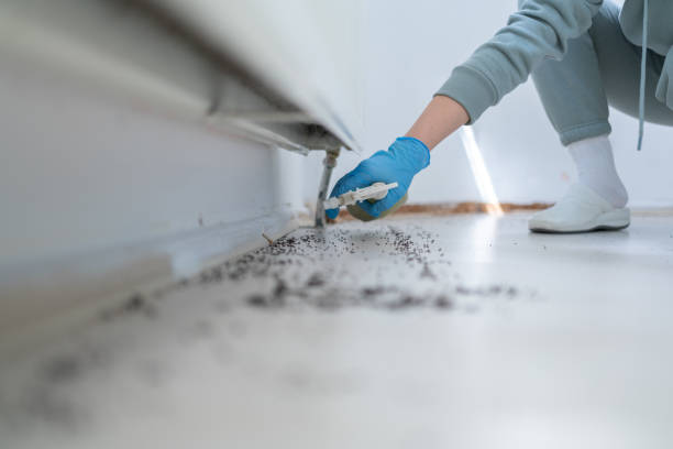 Pest Prevention Services in Louisville, OH